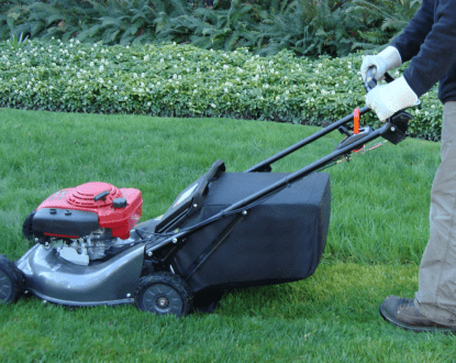 LAWN MOWING